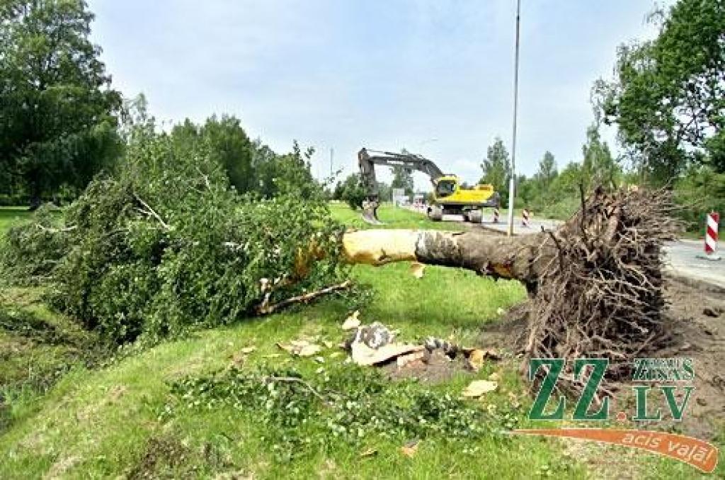 Autors: Agris Samcovs