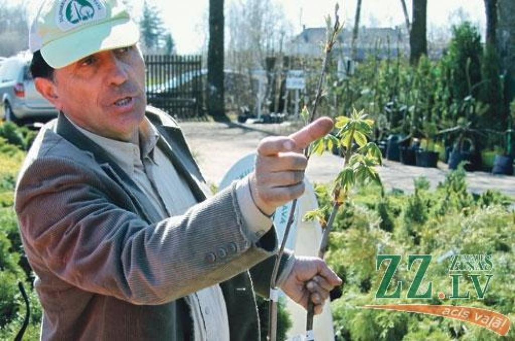 Autors: Agris Samcovs 