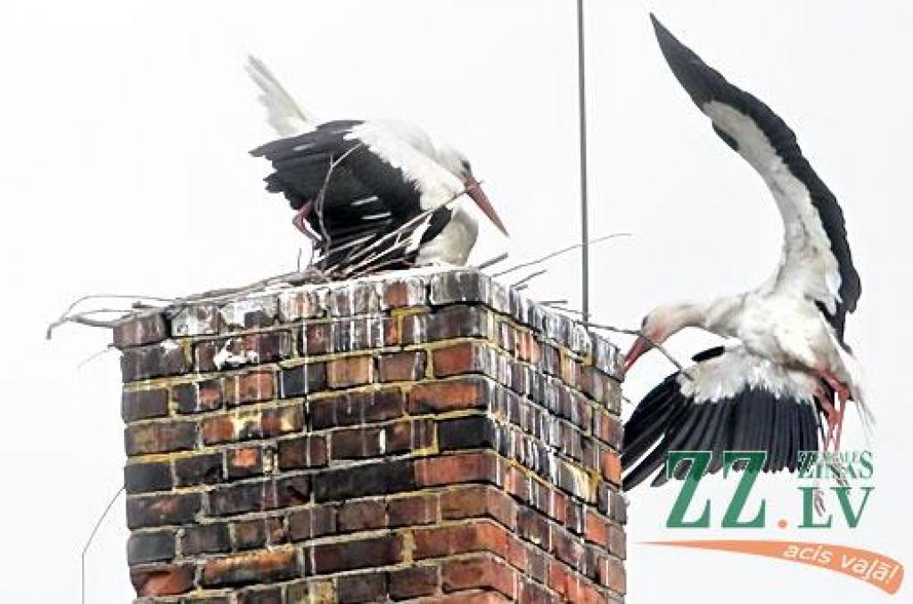 Autors: Agris Samcovs