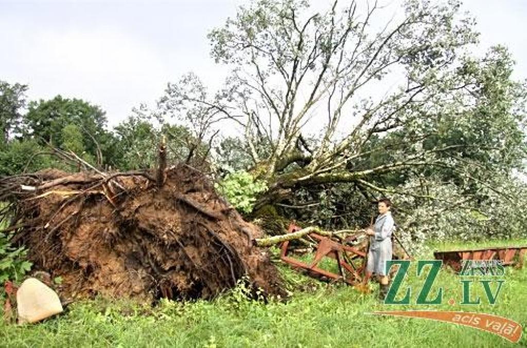 Autors: Agris Samcovs