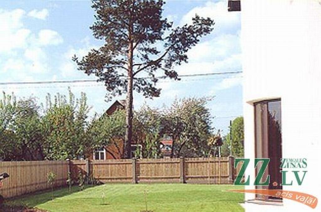 Ainavu arhitekts Andrejs Lomakins konstatējis, ka priede ir sasvērusies un bīstama, tāpēc dota atļauja to nozāģēt.
Autors: no I.Ločmeles albuma