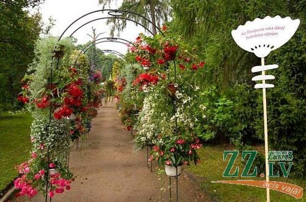 «Ziedu balle 2009» LU Botāniskajā dārzā.
Autors: no www.botanika.lu.lv