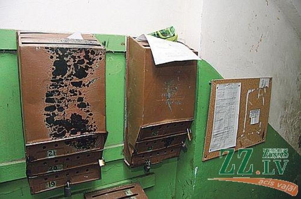 Nedēļas foto. Atsūti savu parakstu!

Aicinām jūs, lasītāji, iesūtīt publicēšanai gan savas, smaidu raisošas, ar Jelgavu un novadiem saistītas fotogrāfijas, gan asprātīgus parakstus publicētajam fotomirklim. Sūtiet tos uz e-pasta adresi...