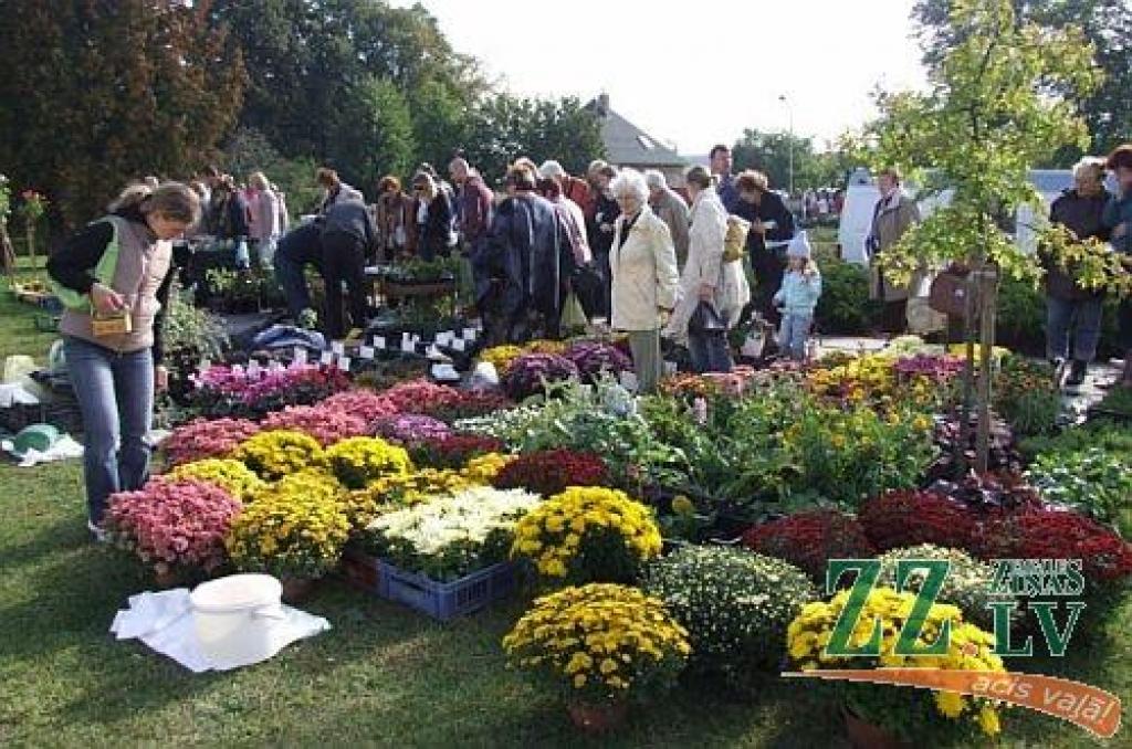 Autors: no www.stadi.lv