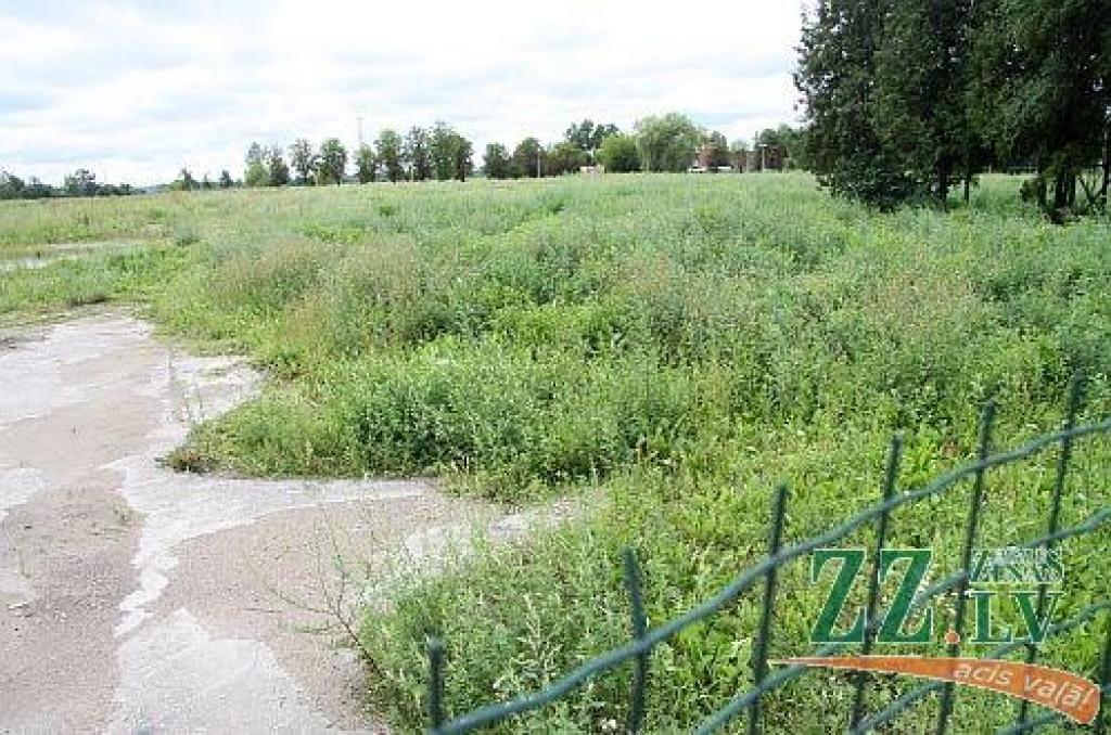 Autors: Agris Samcovs