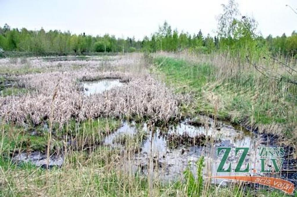 Autors: Agris Samcovs