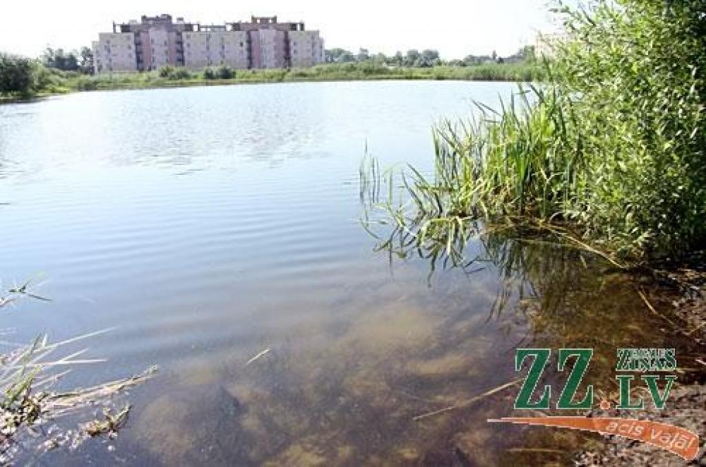 Gulbju dīķis.
Autors: Agris Samcovs