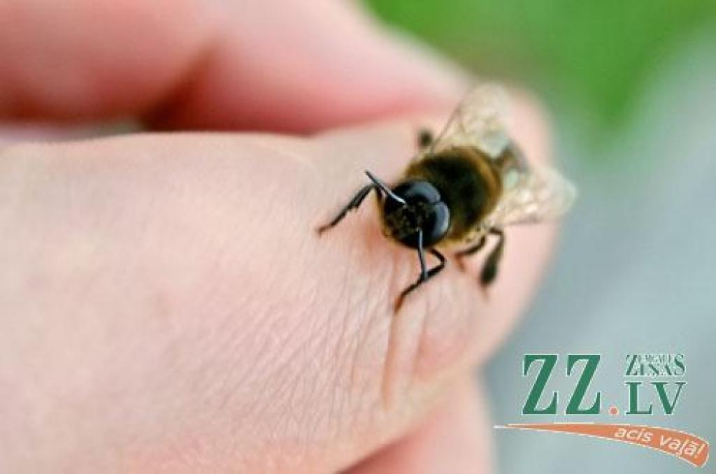 Autors: Agris Samcovs