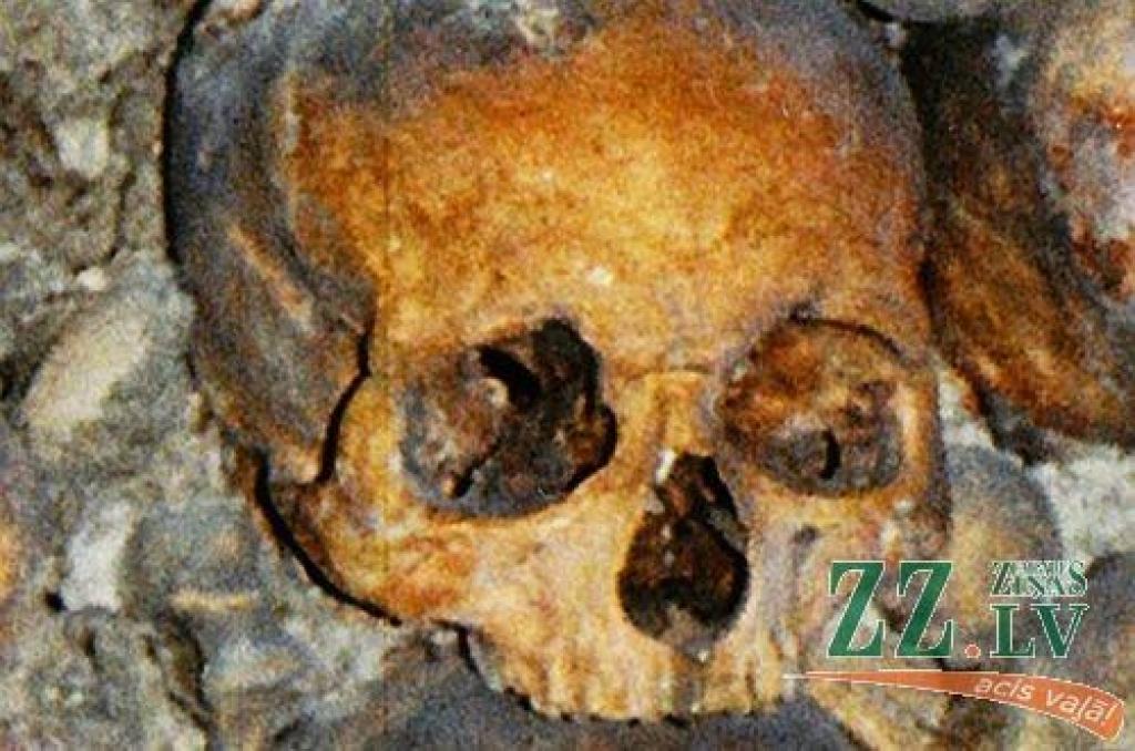 (Šis nav atrastā galvaskausa attēls.)
Autors: Jānis Stundiņš