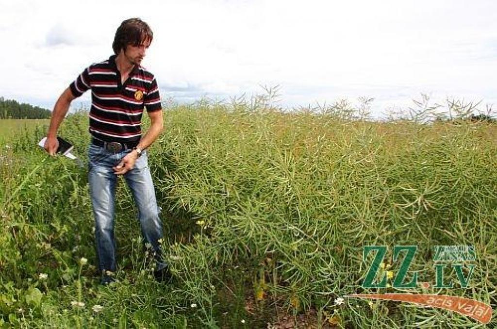 ZS «Līgo» īpašnieks Jānis Vinters.
Autors: no ZZ arhīva