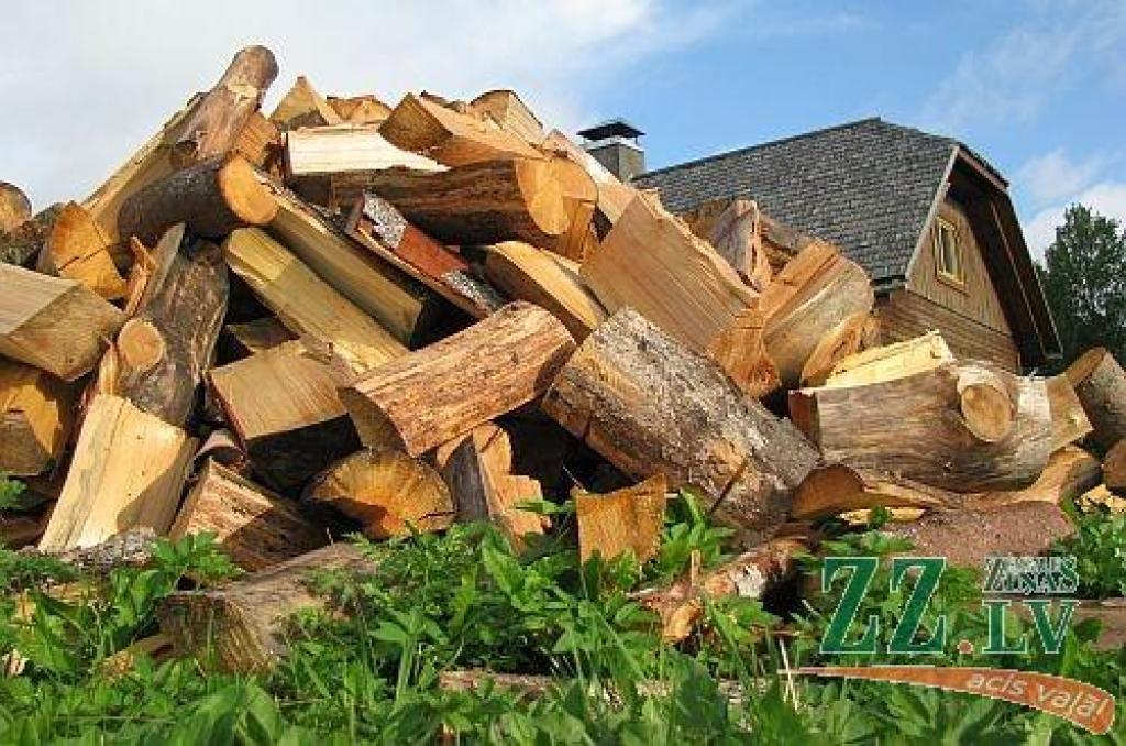 Autors: no ZZ arhīva