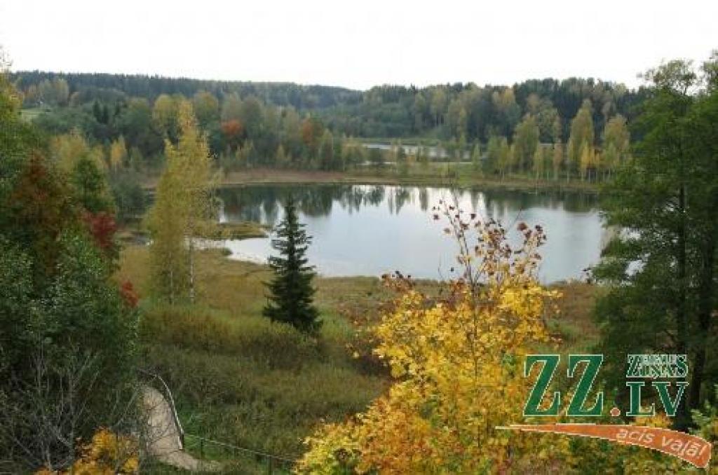 Autors: Evita Puriņa