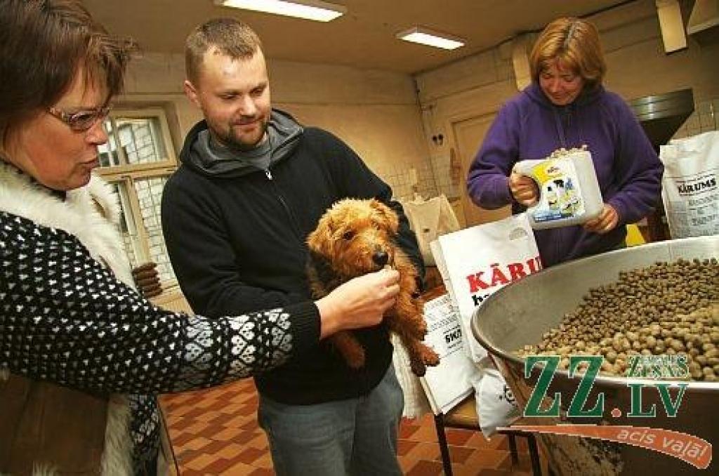 Vēlēšanās rūpēties par suņiem agrāko medmāsu Daci Arāju mudinājusi kļūt par uzņēmēju. Jaunas iespējas dzīvnieku pārtikas ražošanā viņa meklē kopā ar dēlu Reini.
Autors: Agris Samcovs