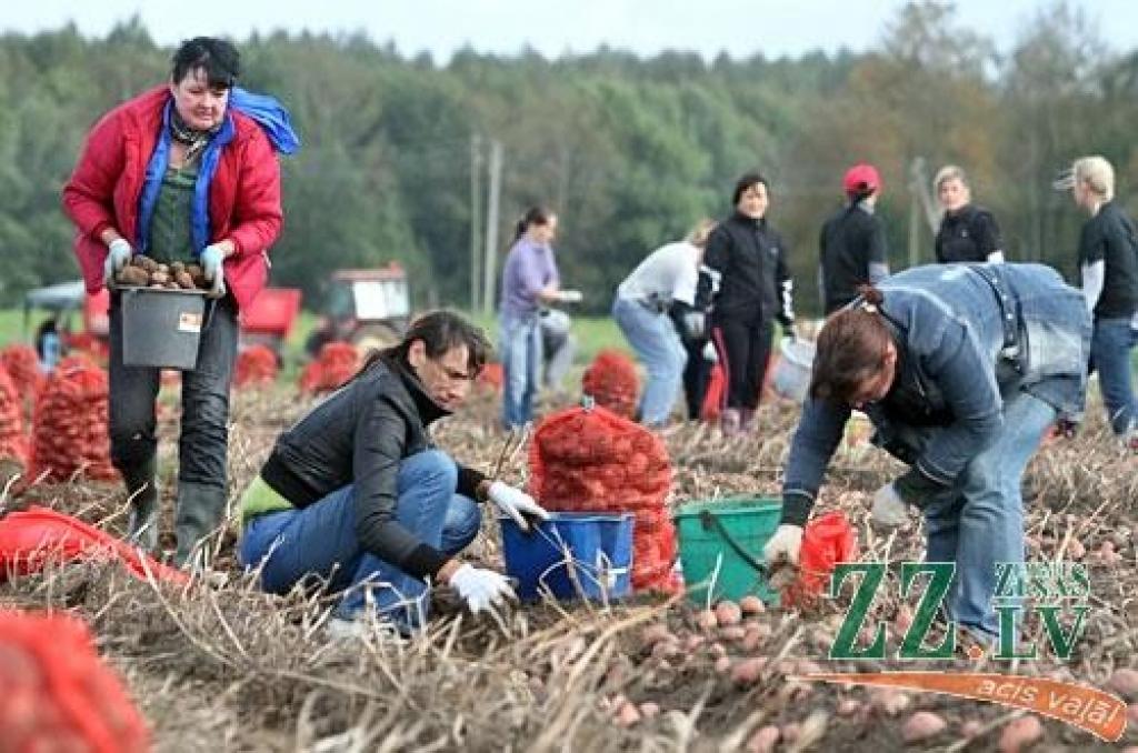 Autors: Agris Samcovs