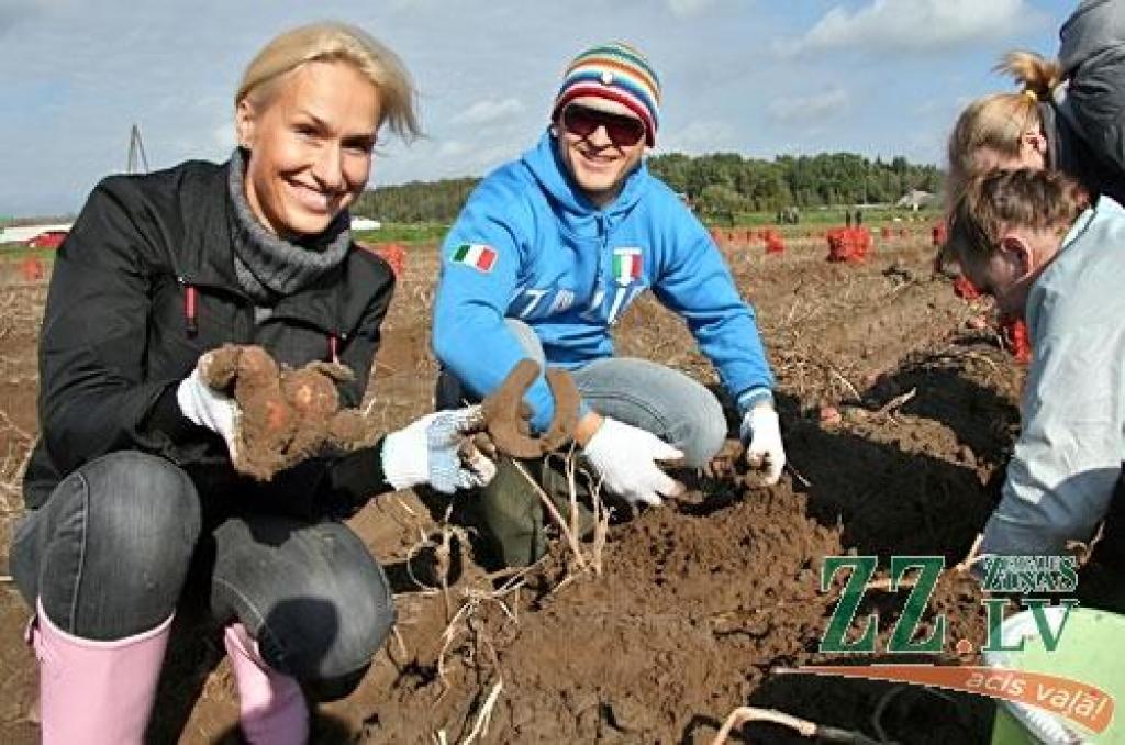 Autors: Agris Samcovs