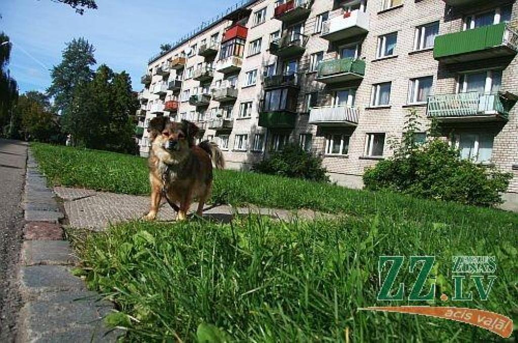 Autors: Agris Samcovs