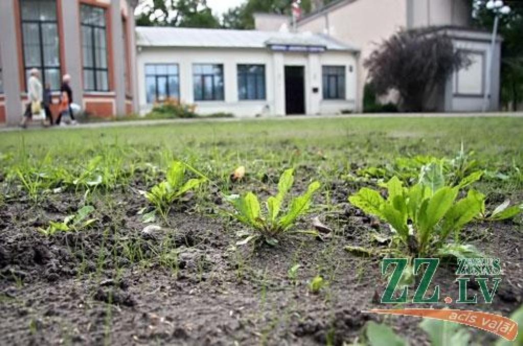 Autors: Agris Samcovs