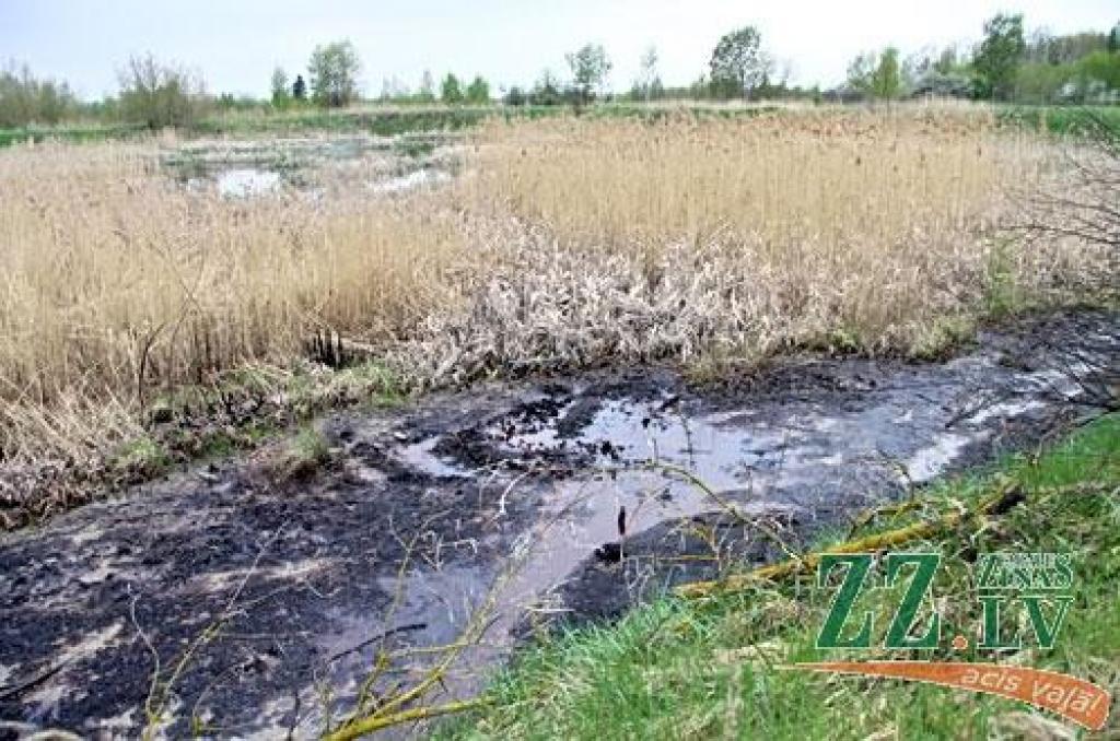 Autors: Agris Samcovs