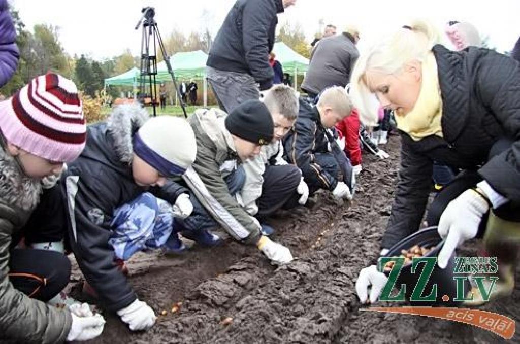 Autors: Agris Samcovs