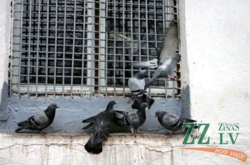 Autors: Diena.lv