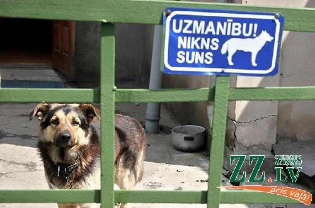 Attēlam ir ilustratīva nozīme, tam nav saistības ar publikācijā aprakstīto situāciju.
Autors: no ZZ arhīva