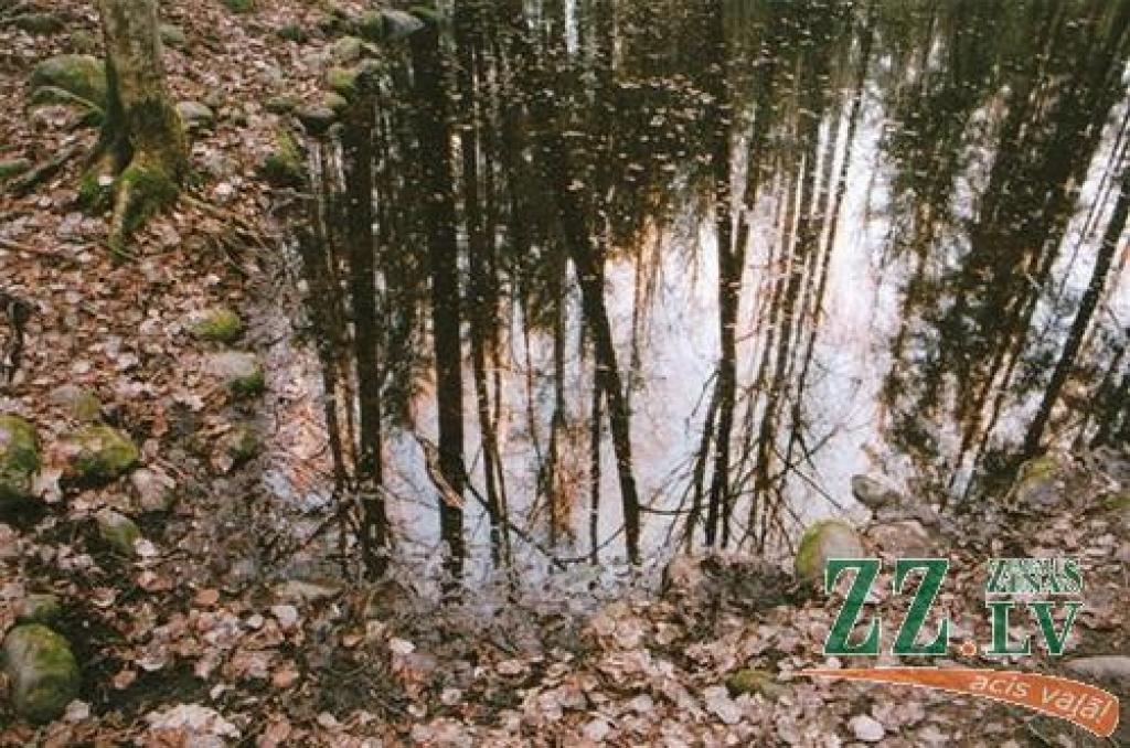 Autors: Jānis Stundiņš