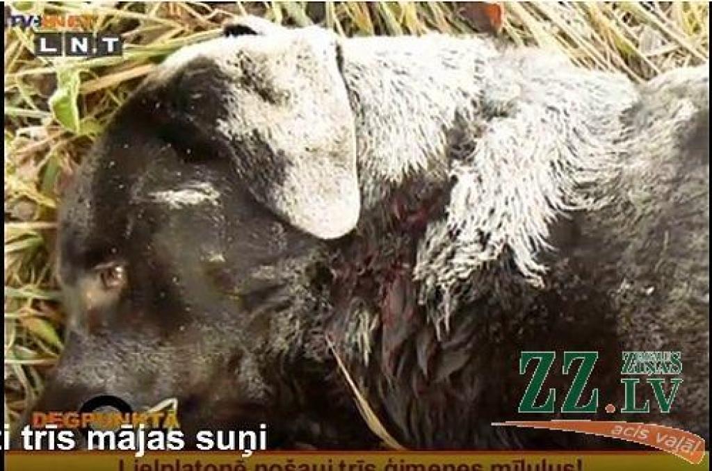 Autors: ekrānšāviņš no raidījuma 