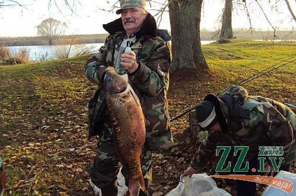 Laimīgais makšķernieks Gundars Liepiņš milzu spoguļkarpu no Lielupes dzelmes izvilka ar 0,23 milimetru pīto auklu.
Autors: Aija Degaine