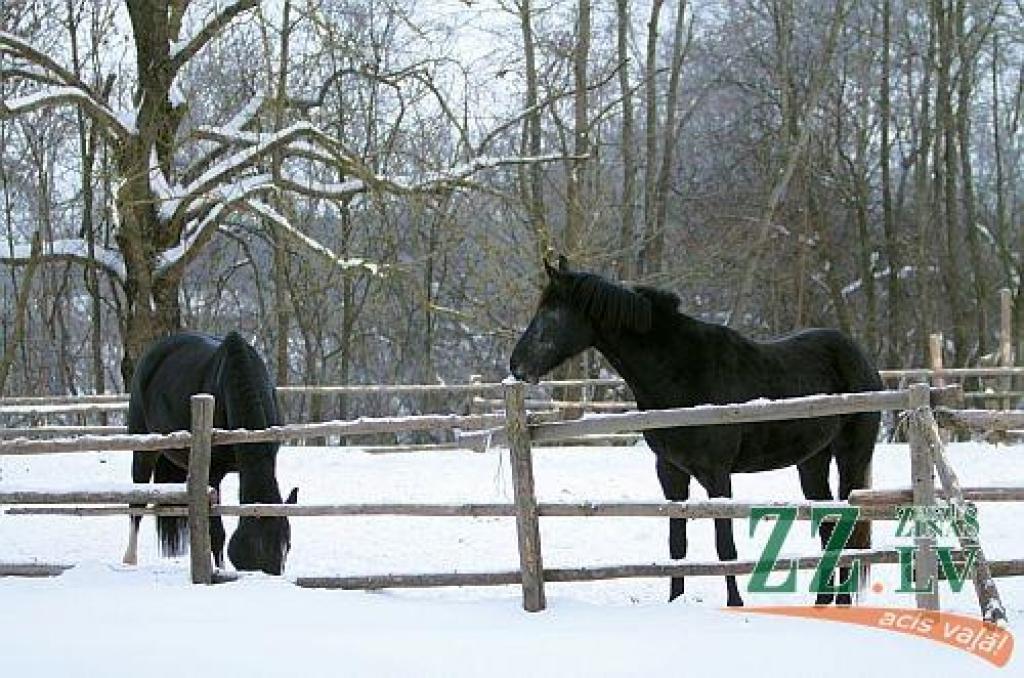 Autors: Agris Samcovs