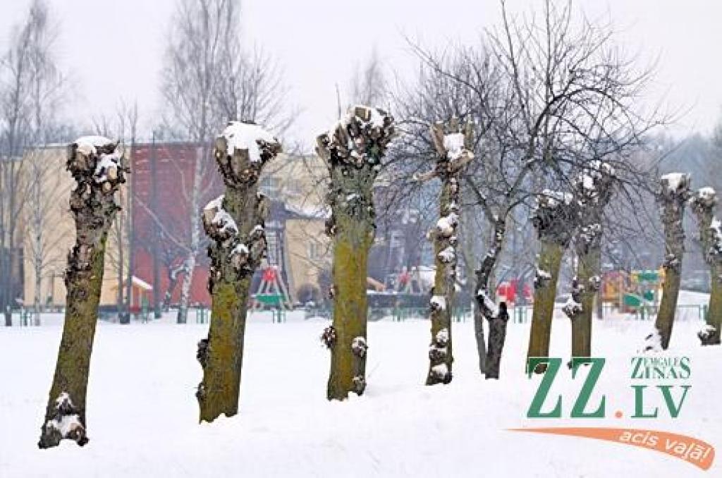 Autors: Agris Samcovs