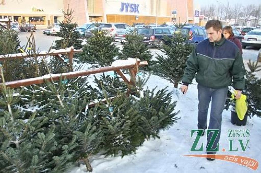 Autors: Agris Samcovs