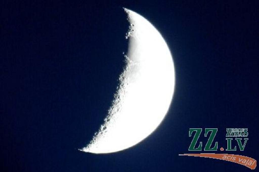 Autors: no ZZ arhīva