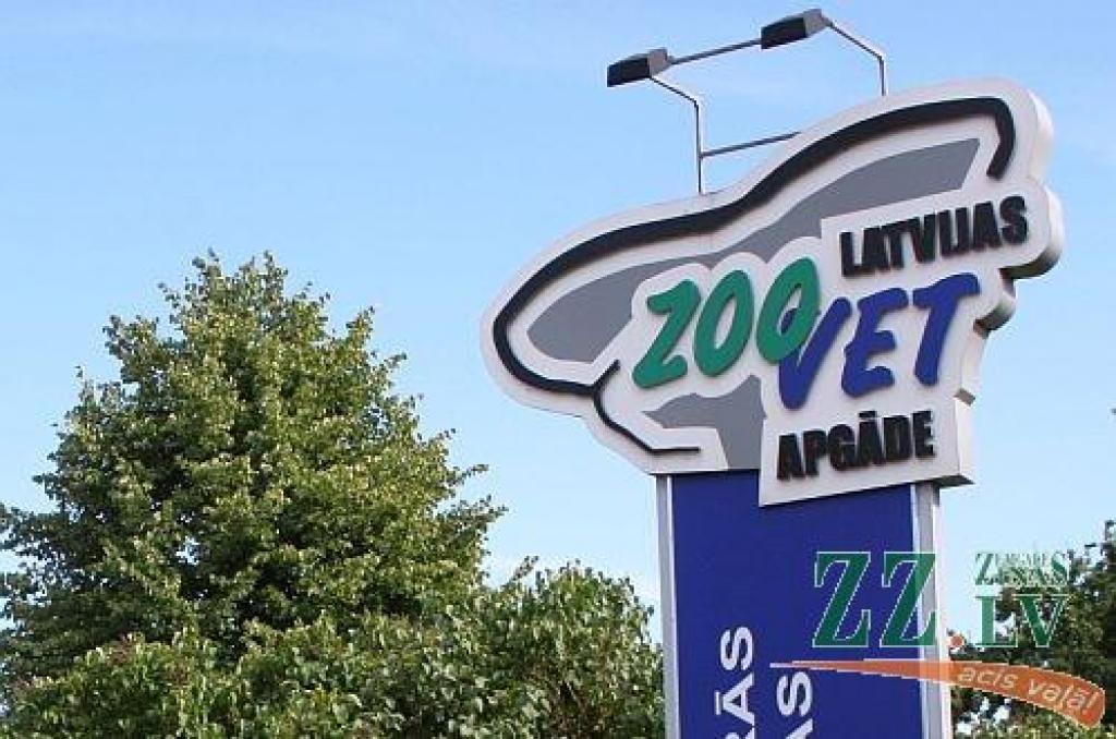 Autors: no ZZ arhīva