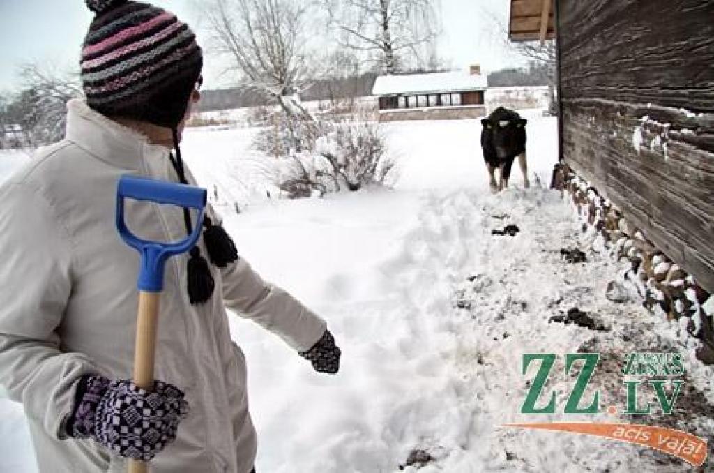 Autors: Agris Samcovs