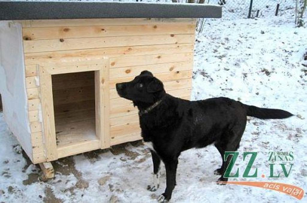 Autors: Publicitātes foto