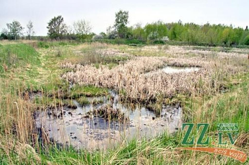 Autors: no ZZ arhīva