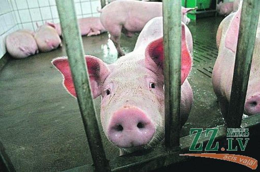 Autors: Agris Samcovs