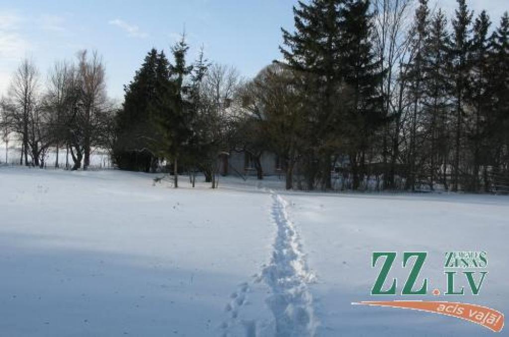 Autors: No ZZ arhīva