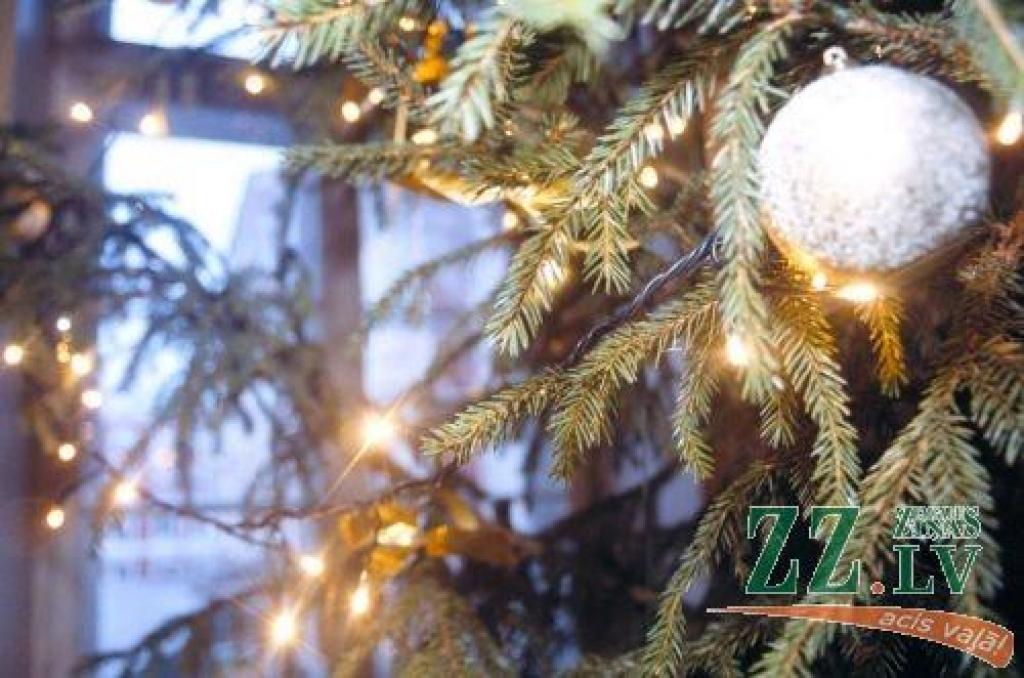 Autors: no ZZ arhīva