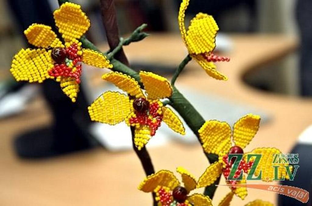 Līdz janvāra beigām Pārlielupes bibliotēkā apskatāma divu šīs bibliotēkas lasītāju - Jeļenas Kutačovas un Allas Peņavskas - darinājumu izstāde «Stikla pērlīšu spēles». Par meiteņu hobiju bibliotēkas darbinieces uzzinājušas ikdienas...