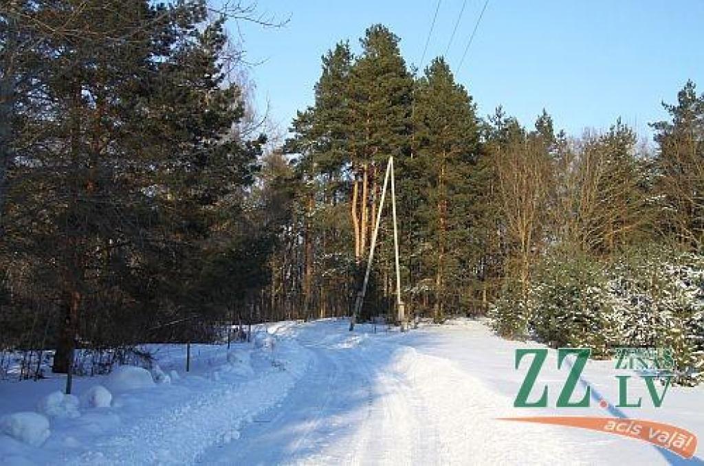 Autors: Agris Samcovs