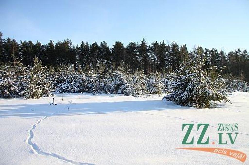 Autors: Agris Samcovs