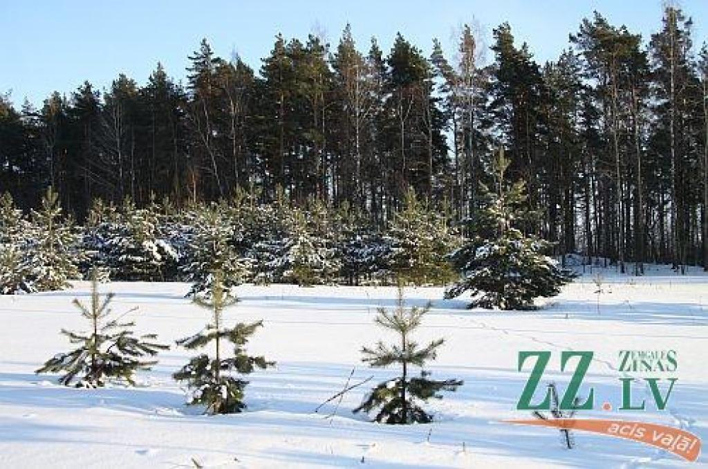 Autors: Agris Samcovs