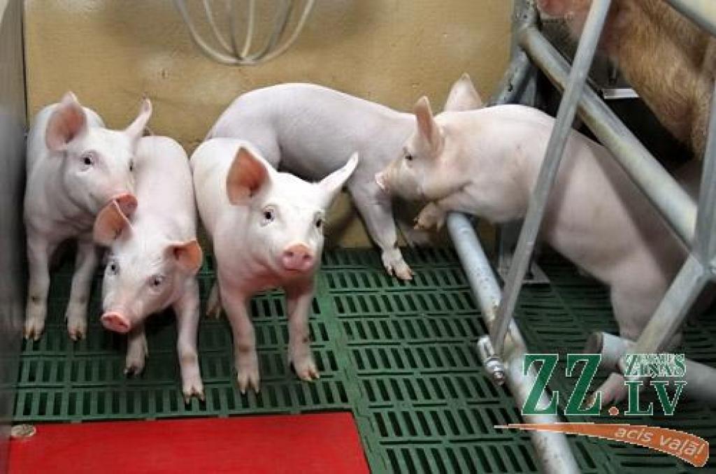 Autors: Agris Samcovs