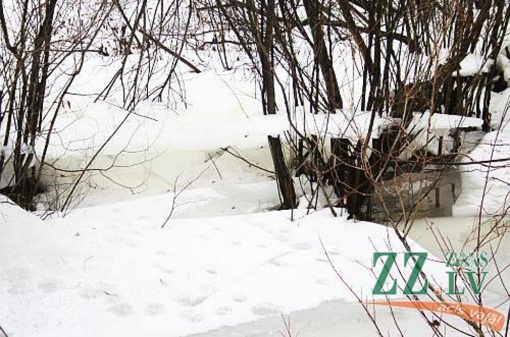 Autors: Agris Samcovs