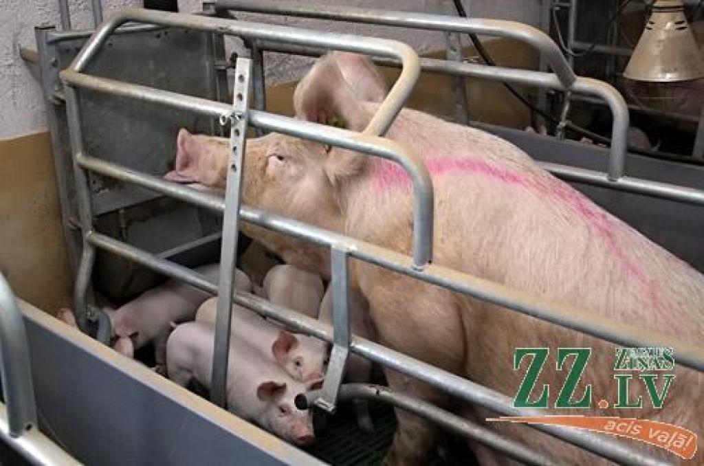 Autors: Agris Samcovs