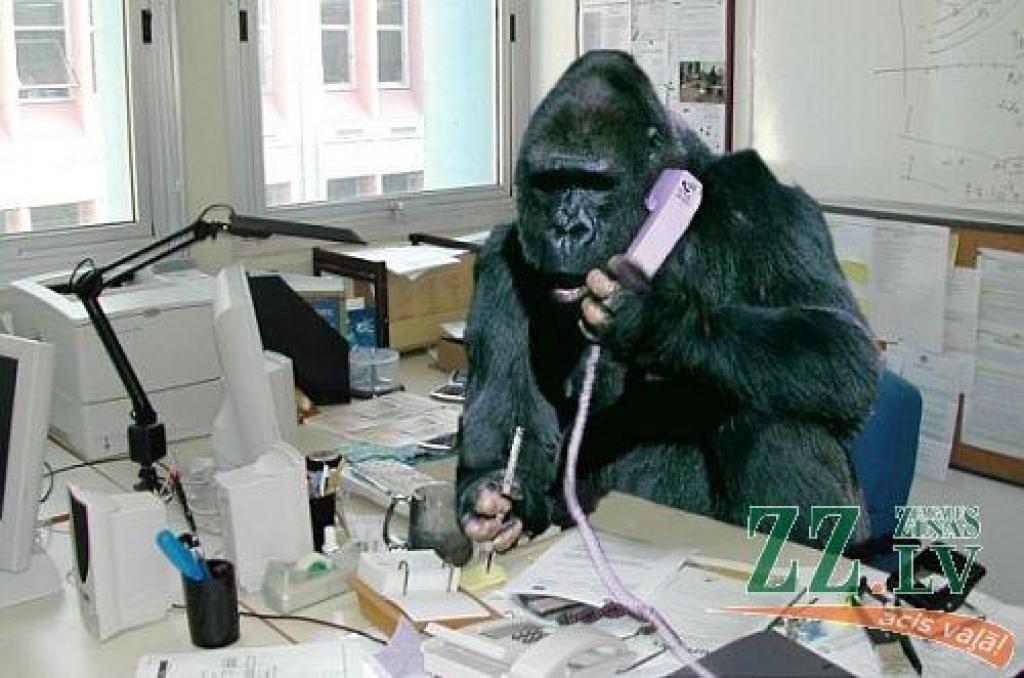 Autors: Mundo kolāža / photoshoppix.com