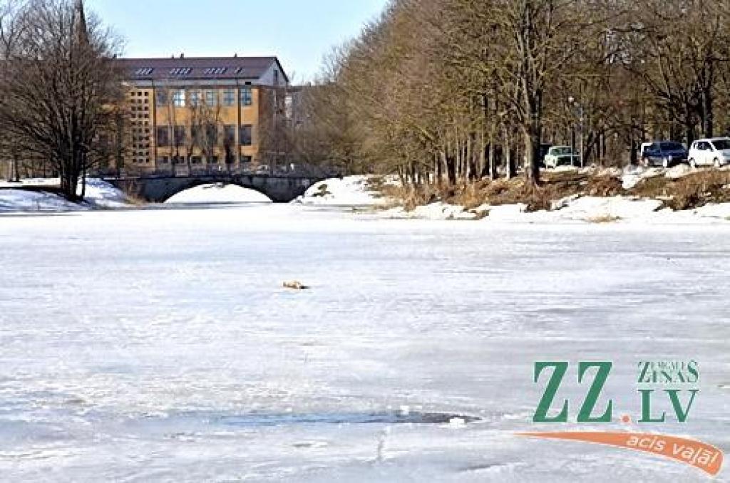 Autors: Agris Samcovs