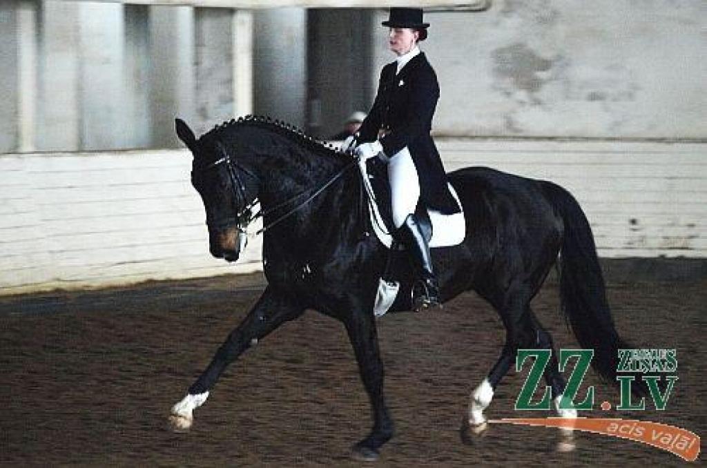 Latvijas ziemas čempionāta otrā posma sacensībās iejādē aizvadītās nedēļas nogalē sporta centrā Kleisti shēmā «Vidējā balva I» uzvaru izcīnījusi LLU pārstāve Kristīna Rozīte ar Brodoru.
Autors: no Kristīnas Rozītes personīgā arhīva