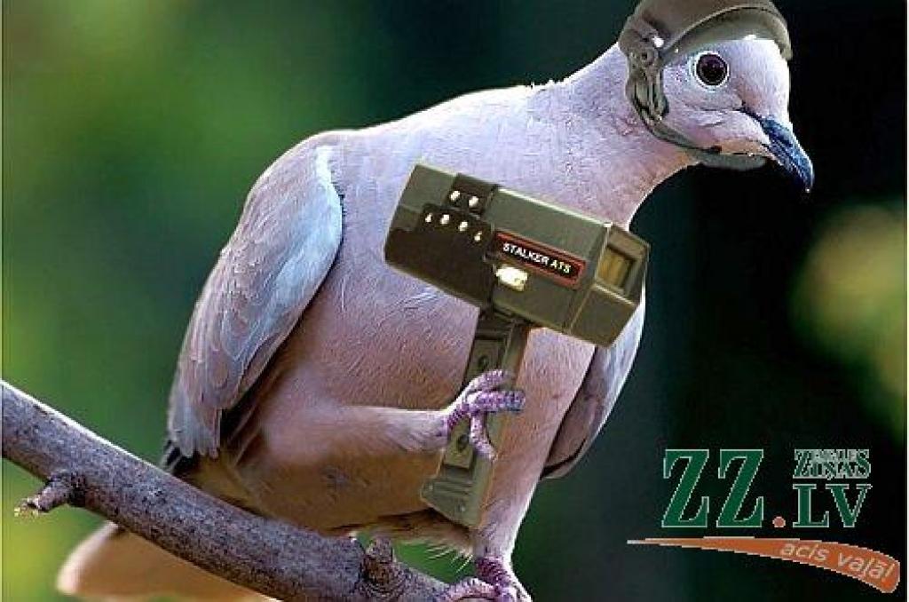 Autors: Mundo kolāža / photoshoppix.com